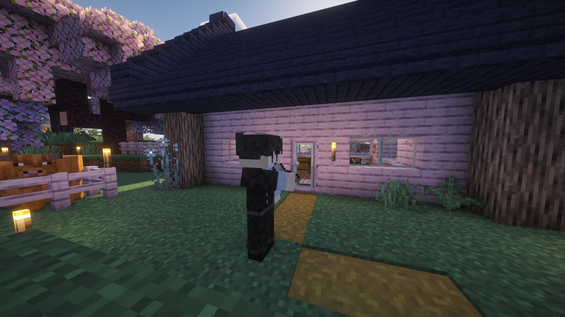 LAST ALPHA Osmp 0.4.0 Snapshot 1.0